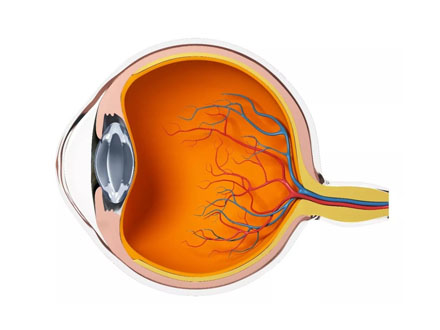 日常生活中预防眼底病的方法